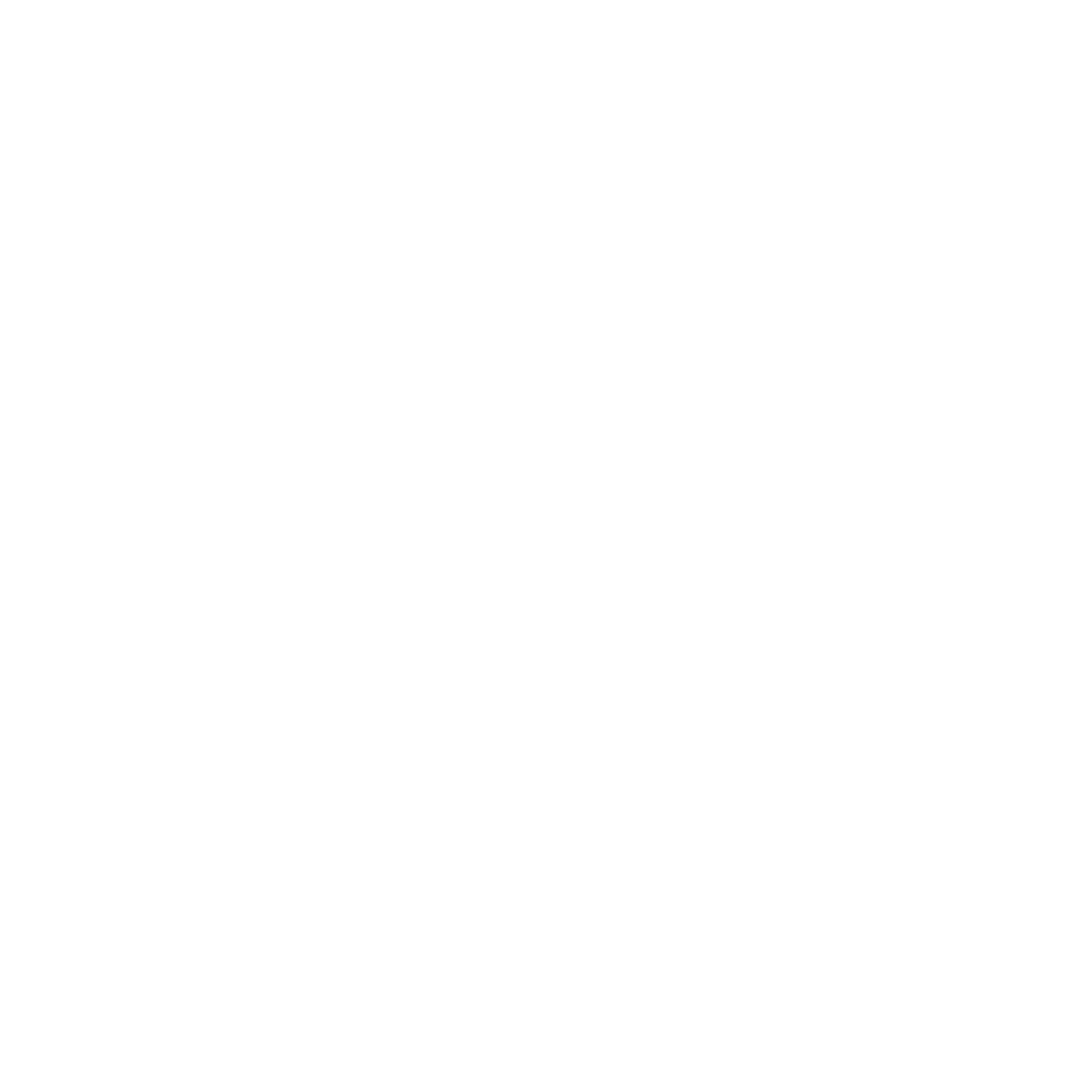 ZapDin